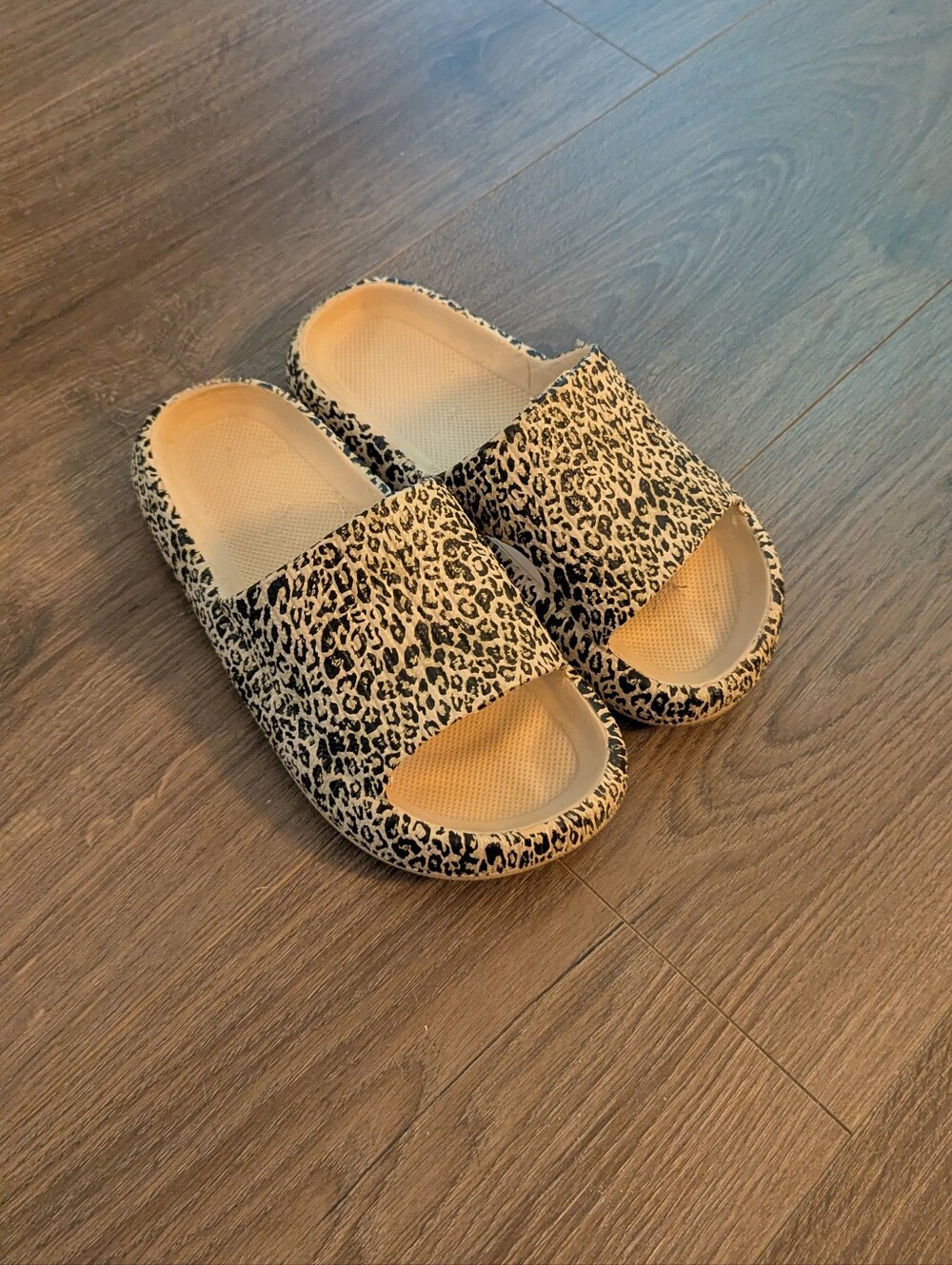 Leopard Print Slide Sandals in Beige and Black